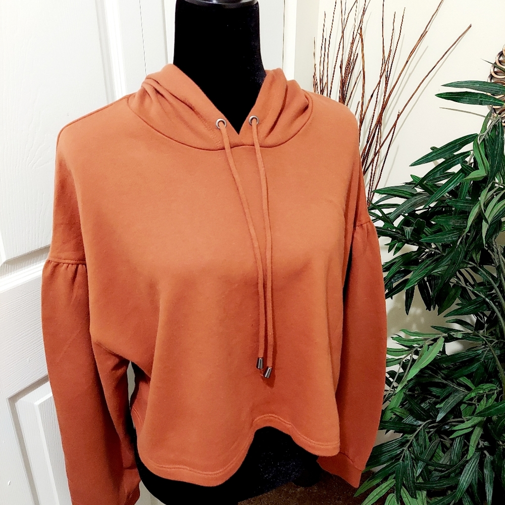 Brown Crop Top Hoodie - Wild Fable